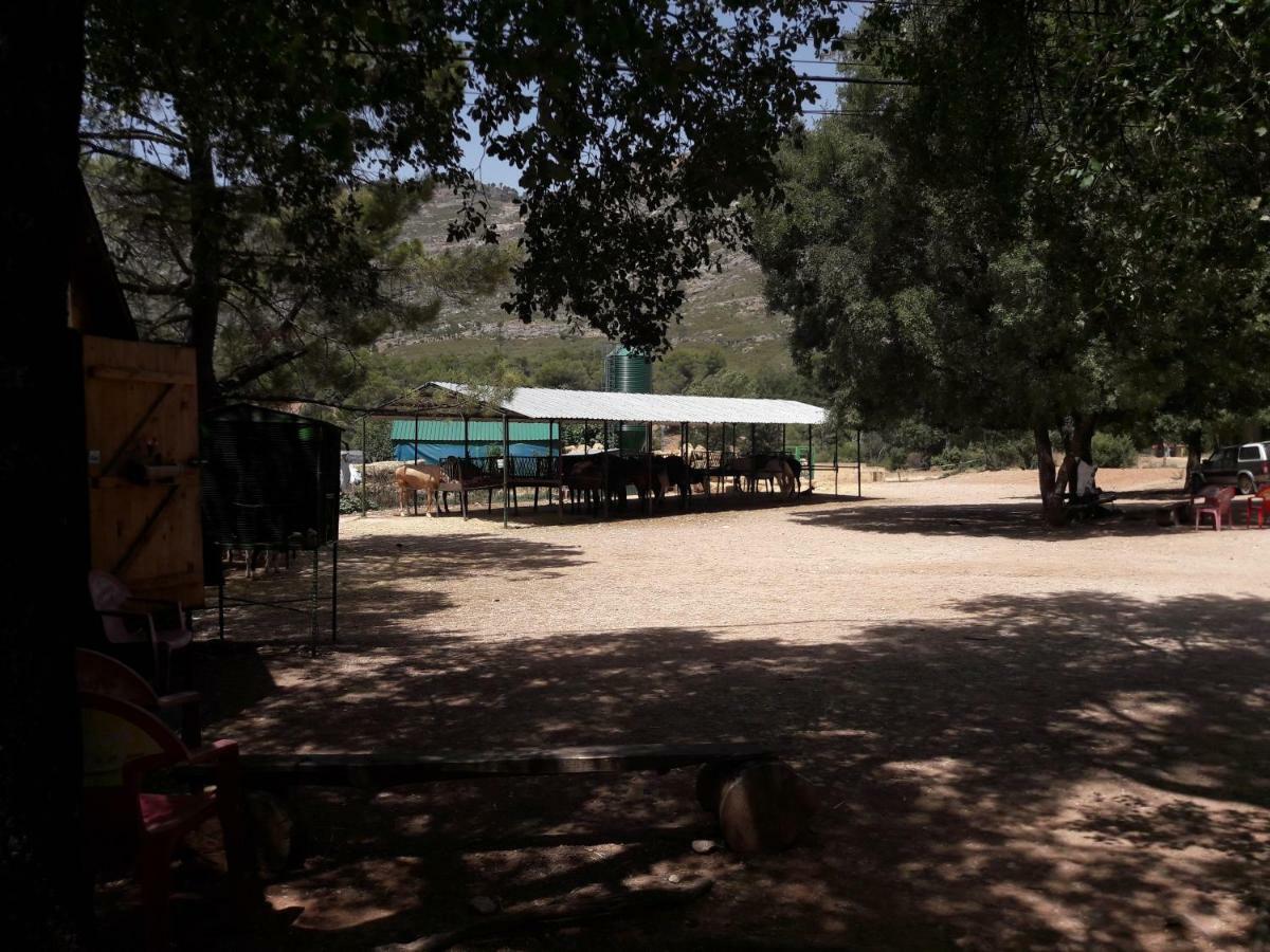Sierra De Cazorla Arroyo Frío Exterior foto